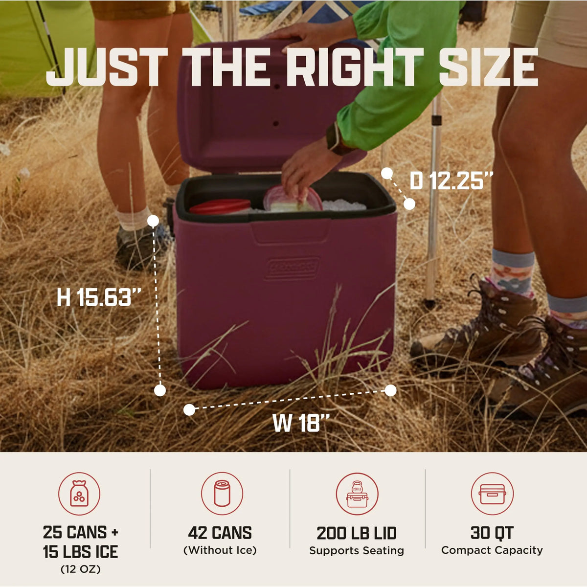 Coleman Chiller 9/16/30/48/60qt Cooler with Ice Retention, Leak Resistant, Great for Camping, Concerts, Sports, and More Coastal Adventure Co